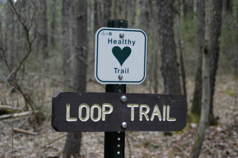 Ruggles Pond Healthy Heart Loop Trail – Wendell, MA