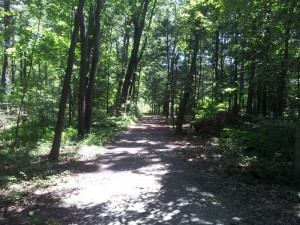 Doyle Community Park Strollable Trail