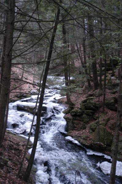 Chesterfield Gorge Trail – Spofford, NH