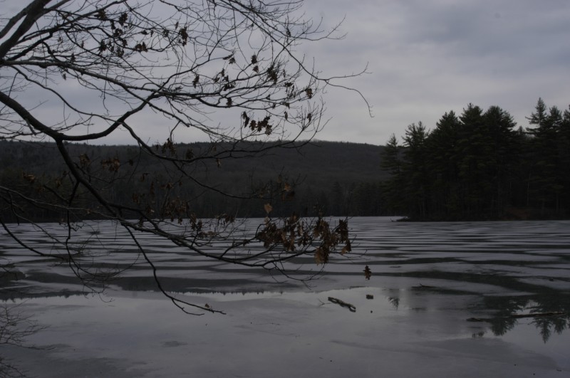 Goose Pond Loop Trail – Keene NH