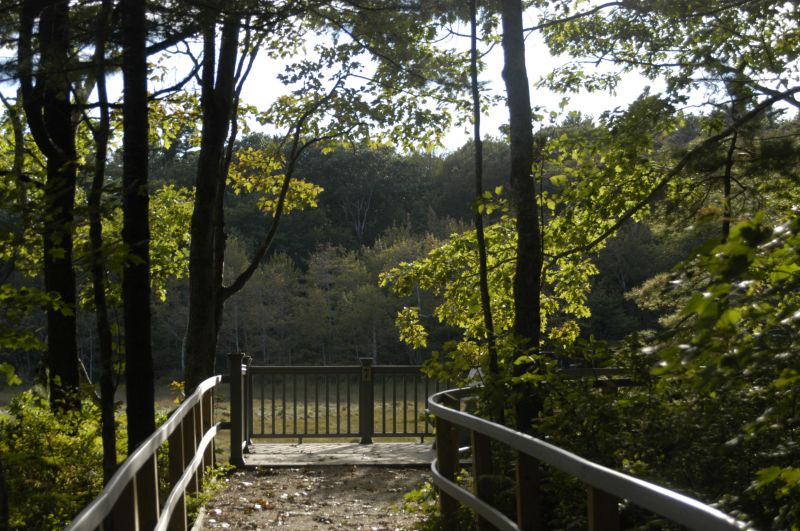 Rachel Carson Wildlife Preserve – Wells, ME