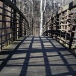 Wooden Bridge