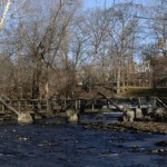 Bridge over Bronx River