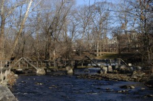 Bridge over Bronx River