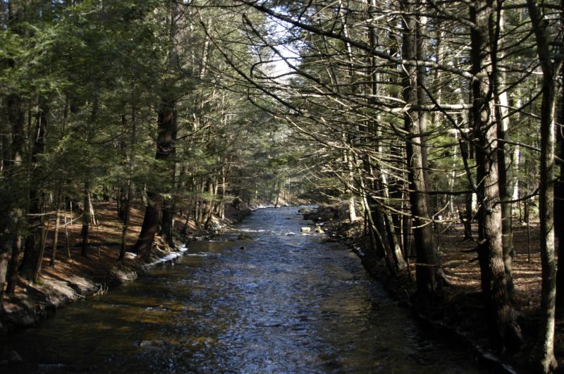 Amethyst Brook Conservation Area – Amherst, MA