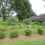 Westmoor Park Garden