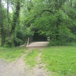 Bridge along trail