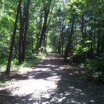 Doyle Community Park Strollable Trail