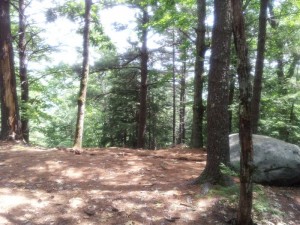 Hockanum Hill Overlook Peak