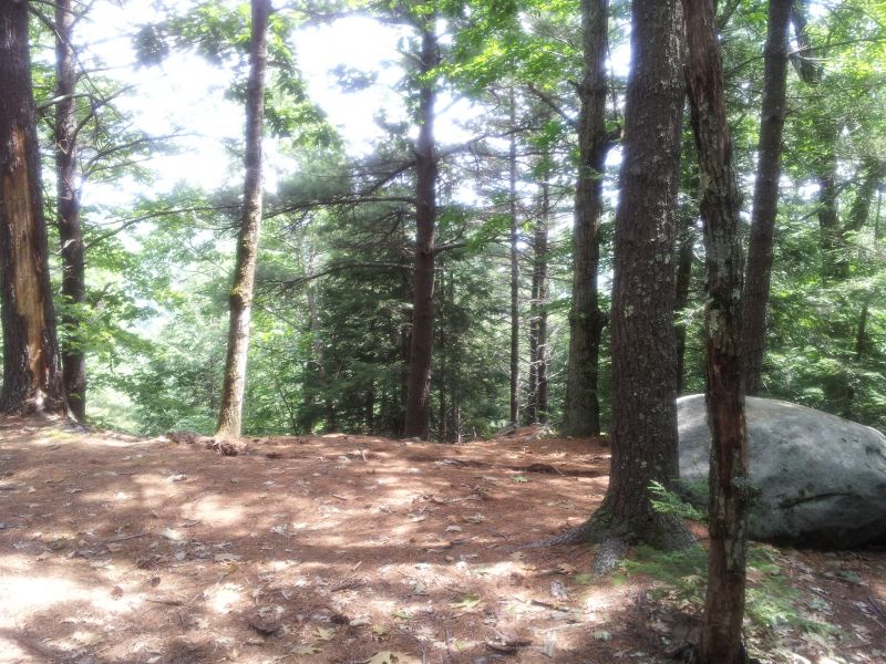 Hockanum Hill Overlook Trail – Warwick, MA