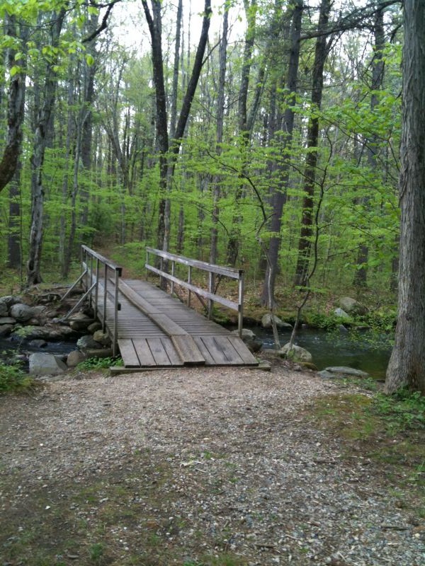 Henry Cowdrey Nature Center – Lunenburg MA