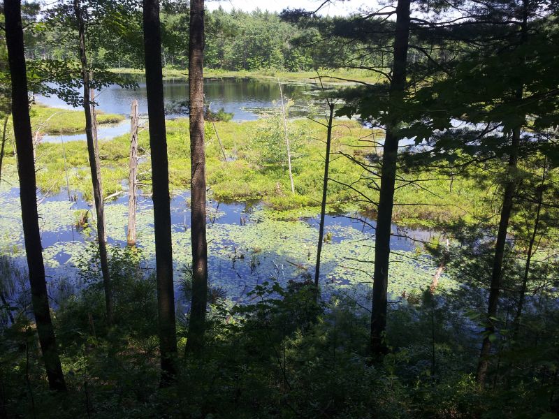 Silver Lake State Park – Hollis, NH