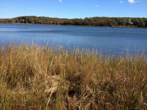 View of Water from Trail