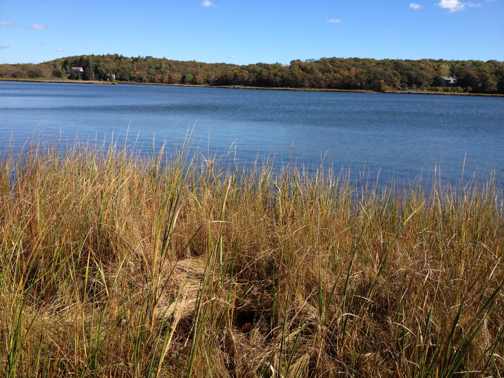 Slocum’s River Reserve – Dartmouth, MA