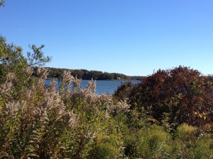 View of Water from Trail