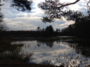 View of Wallis Pond