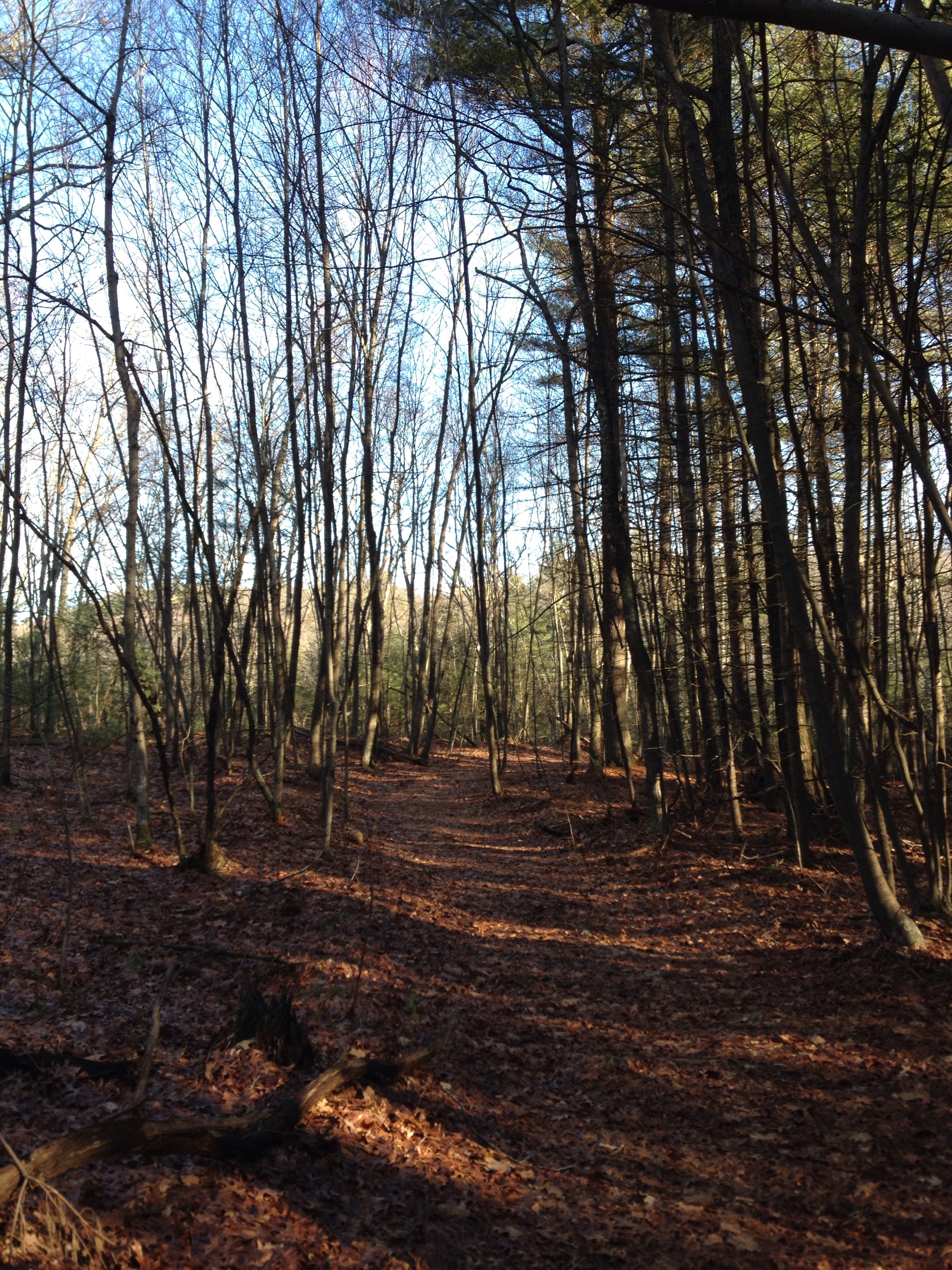 Fort Nature Refuge – North Smithfield, RI