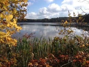 Miles Standish Lake
