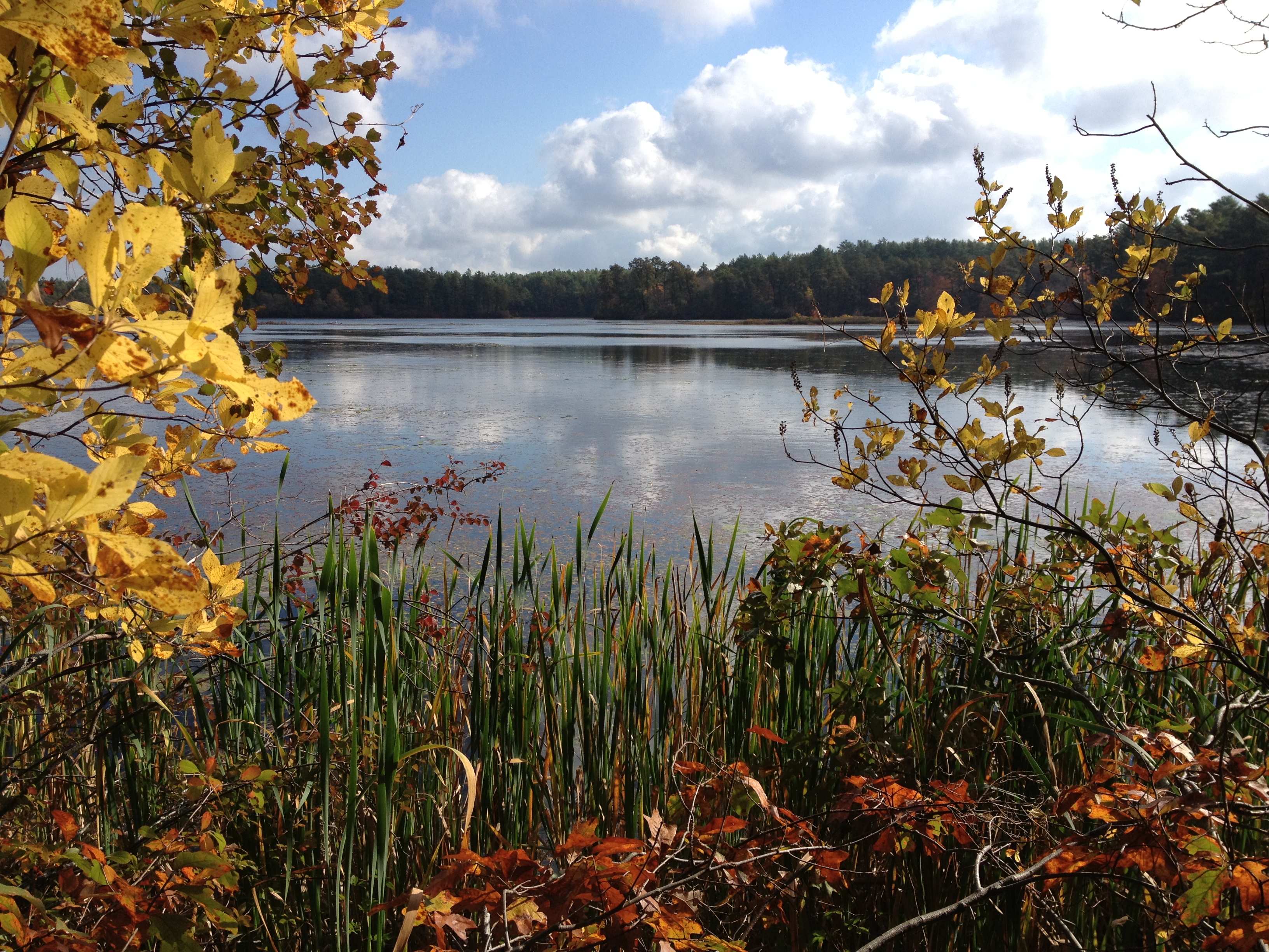 Miles Standish State Forest – Carver, MA