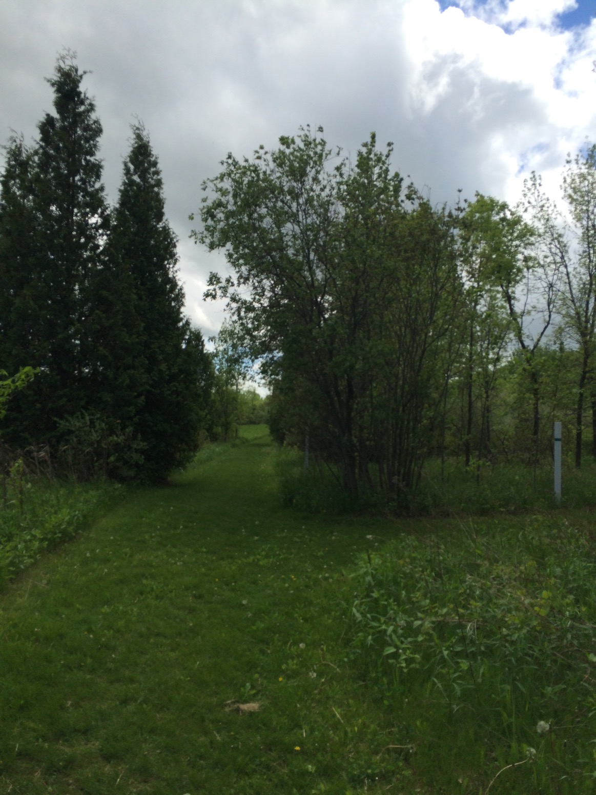 Homestead Hollow County Park – Germantown, WI