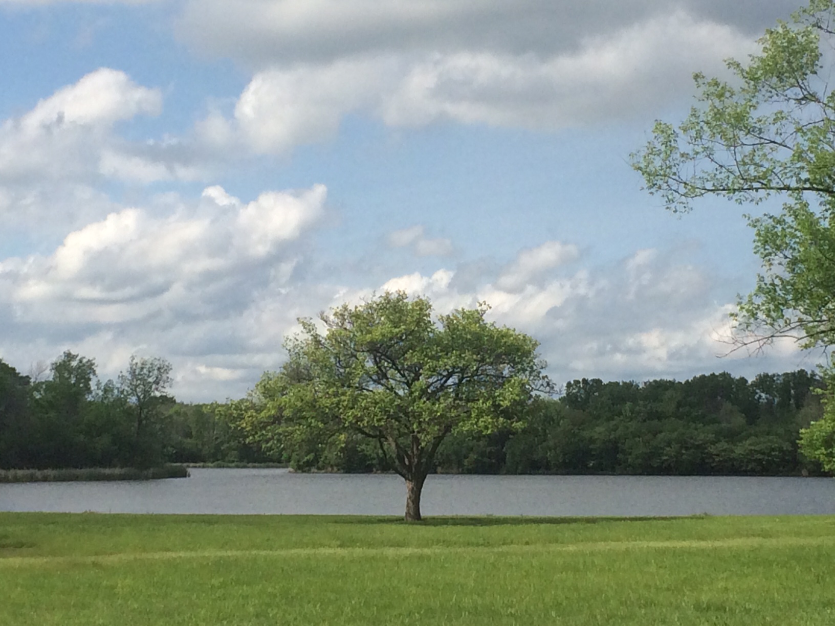 Beck Lake Des Plaines River Trail – Glenview, IL