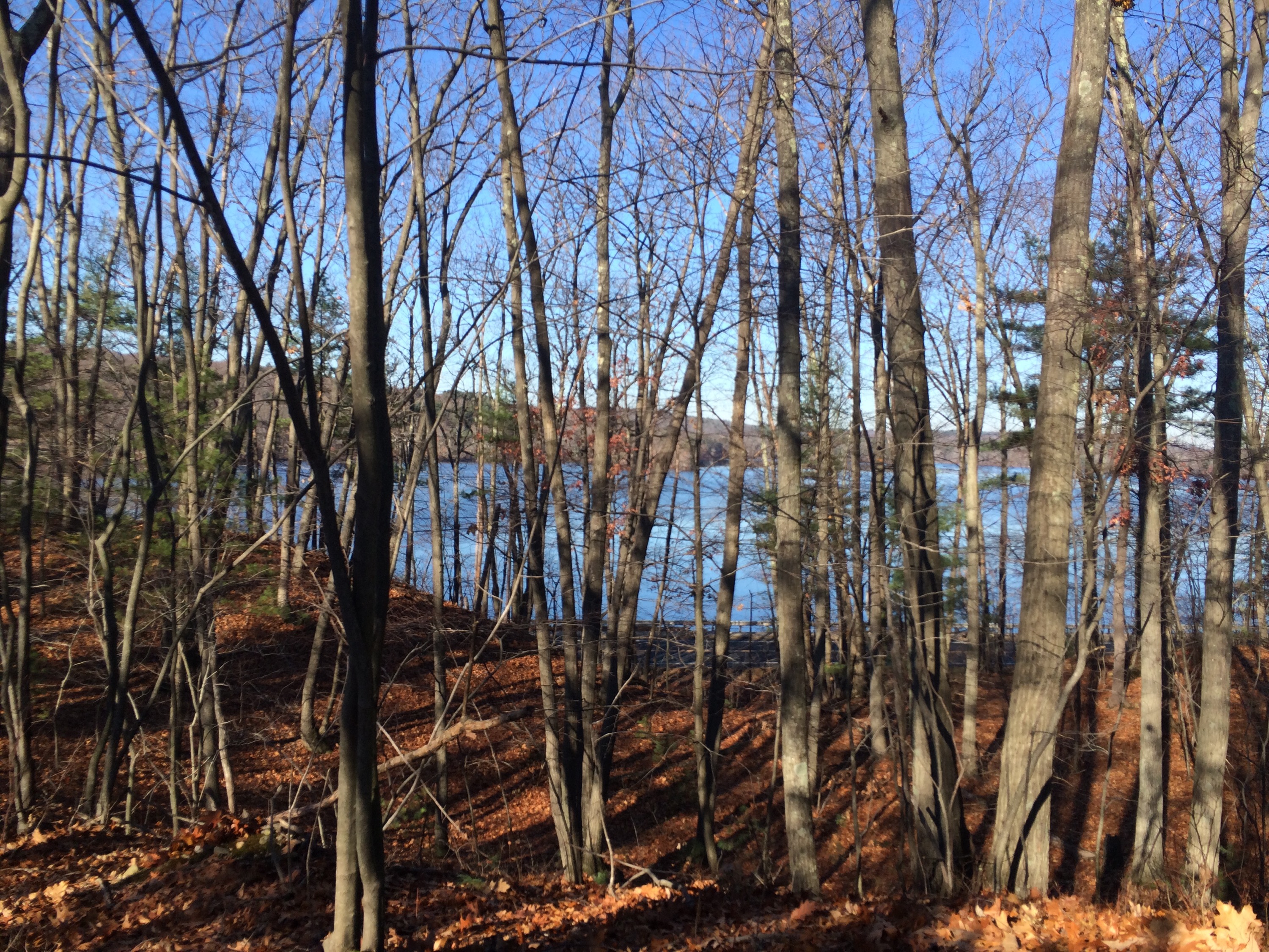 Wolf Hill Forest Preserve – Smithfield, RI