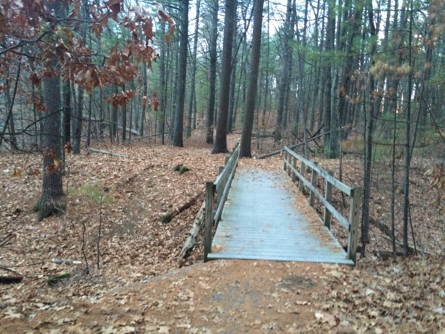 Grassy Pond – Westford, MA