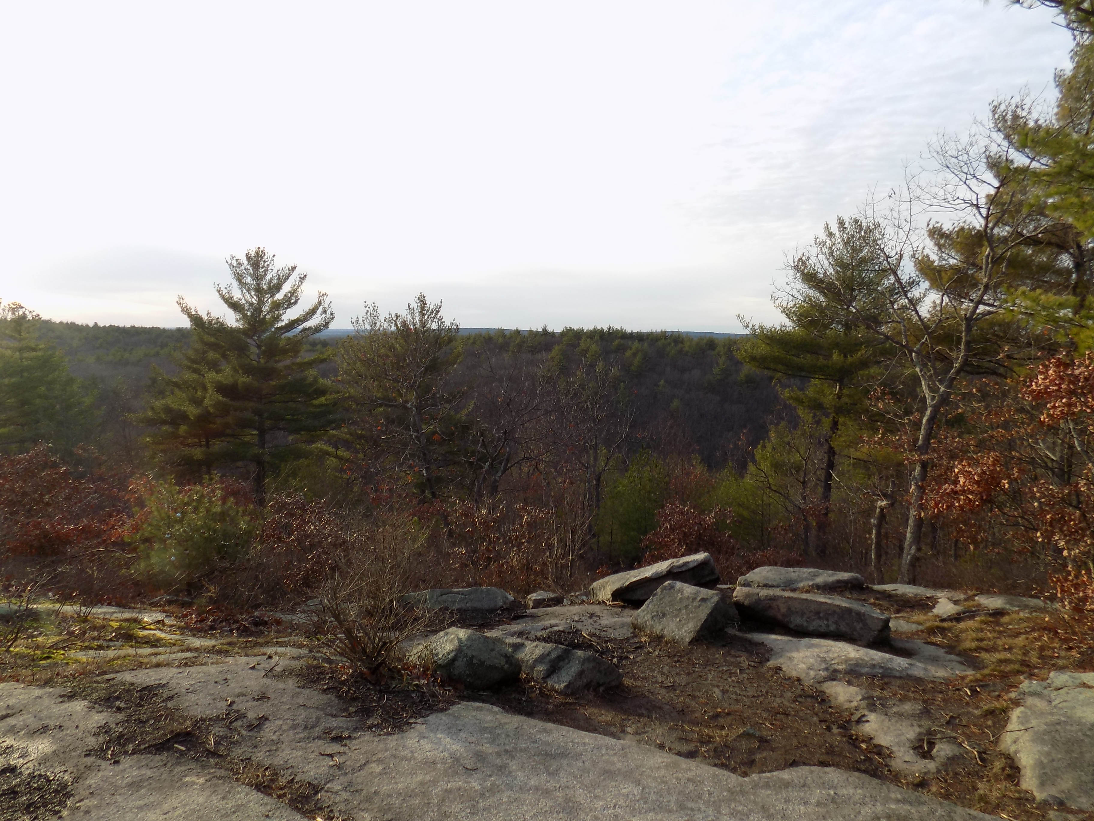 Peppercorn Hill Conservation Area – Upton, MA